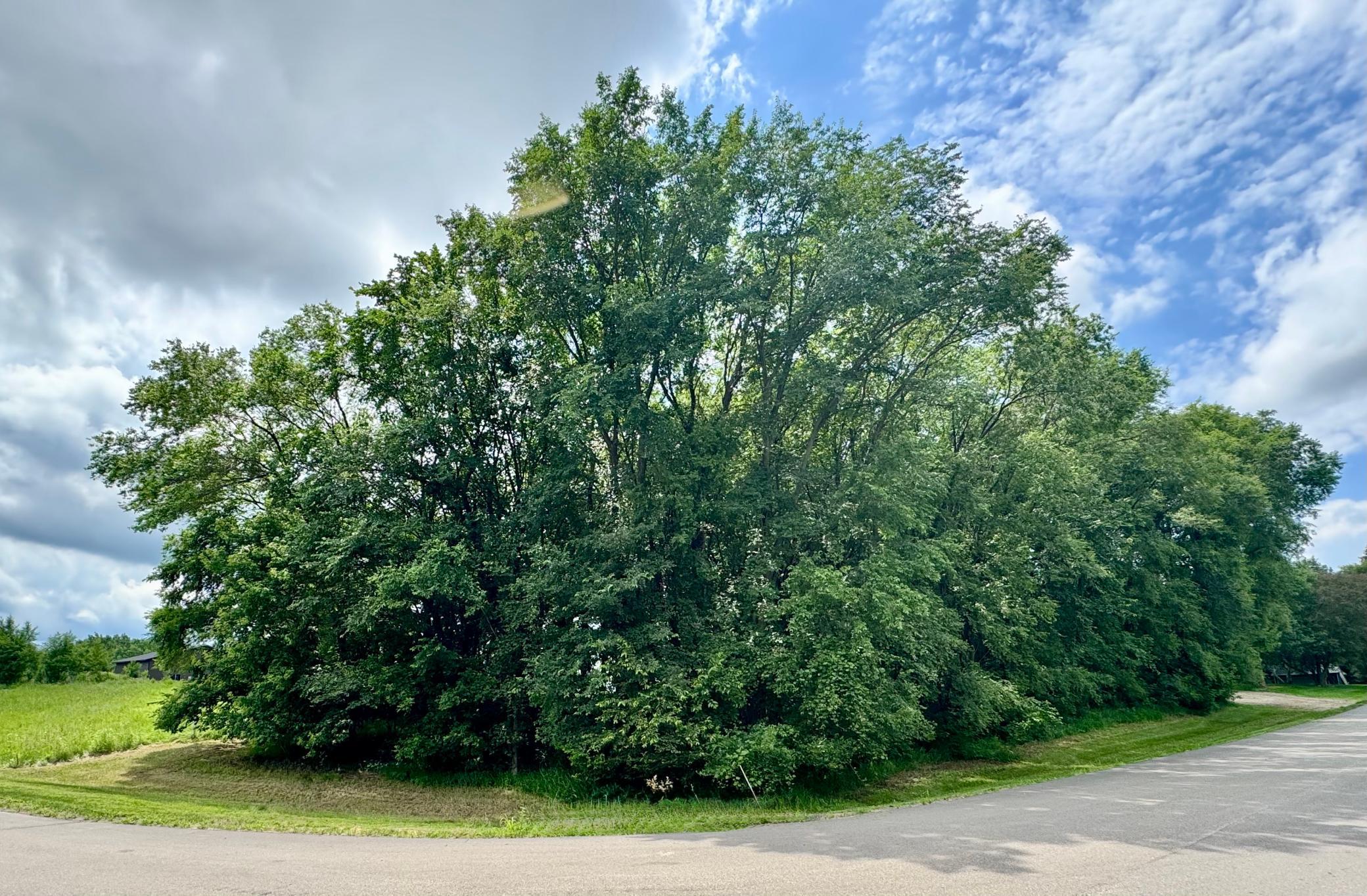 TBD 161st Avenue NE