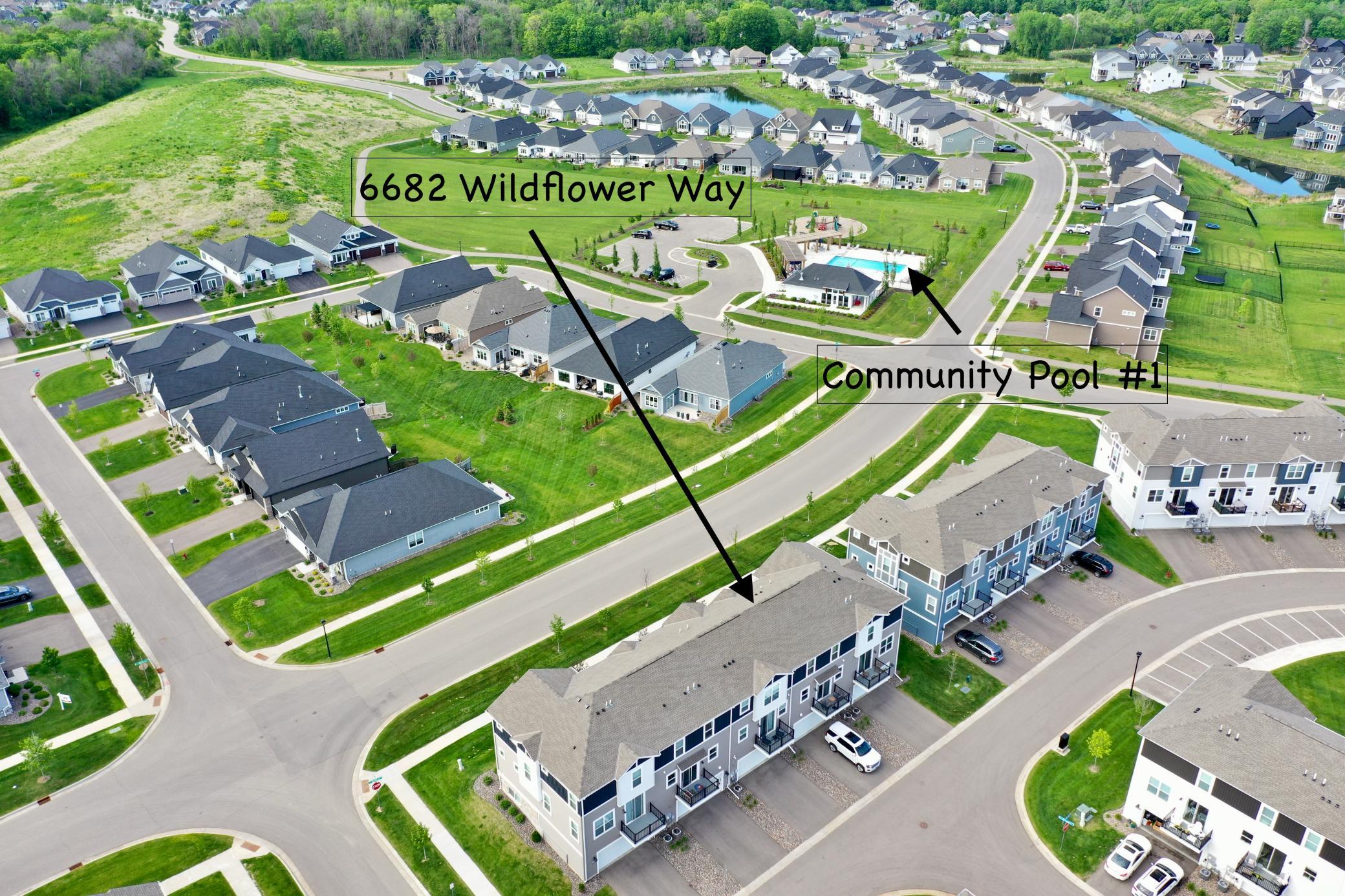 6682 Wildflower Way