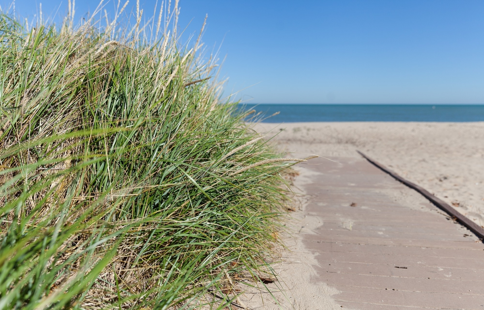 7639 N Greenview Avenue Unit: 1E