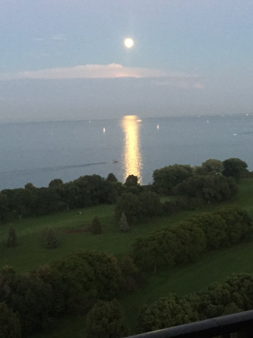 4170 N Marine Drive Unit: 24B