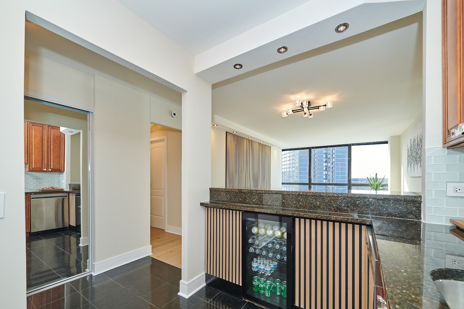 5415 N Sheridan Road Unit: 915