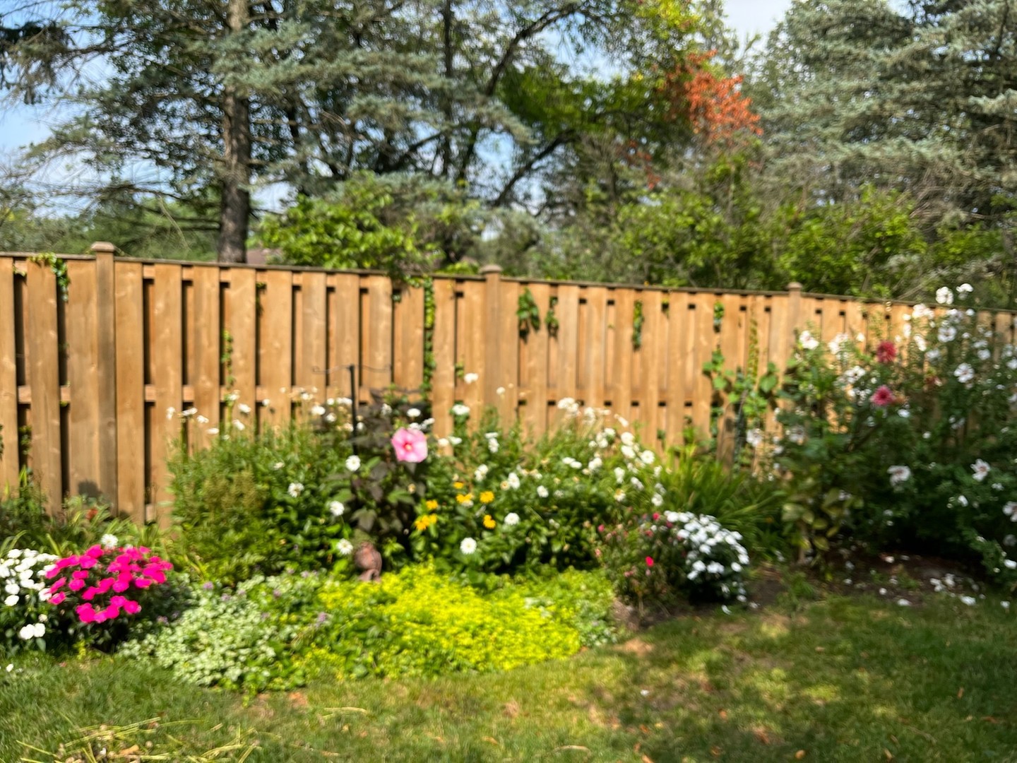 2951 Canterbury Drive