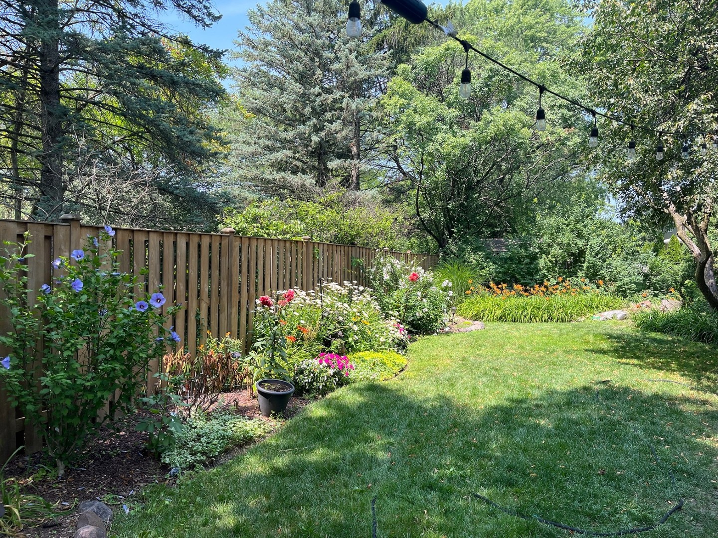 2951 Canterbury Drive