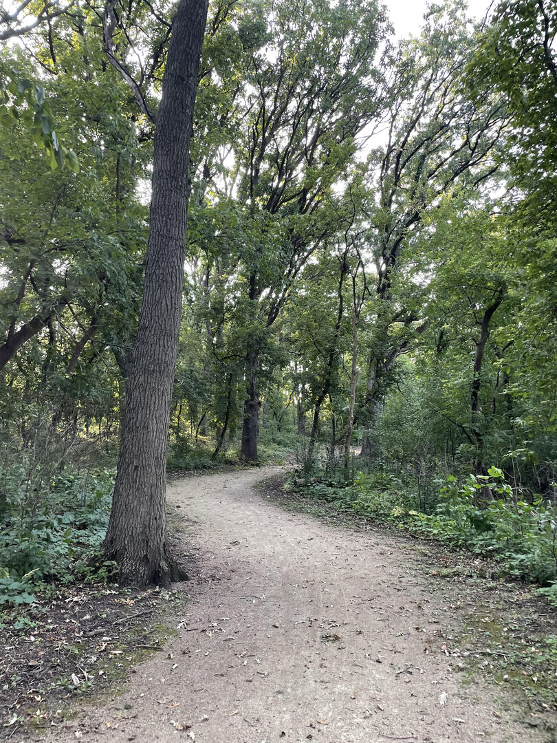 234 S CEDARCREST Drive