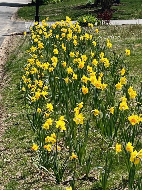 101 Winchester Drive