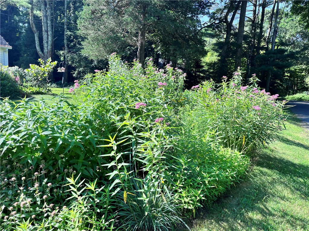 127 LITTLE REST Road