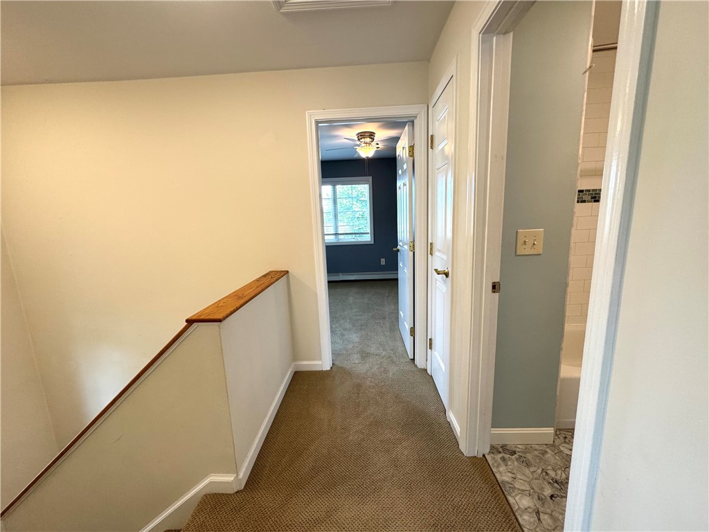 87 Roseneath Avenue A