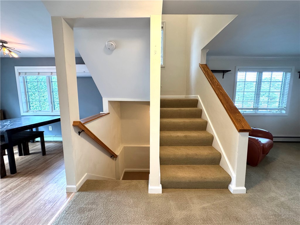 87 Roseneath Avenue A