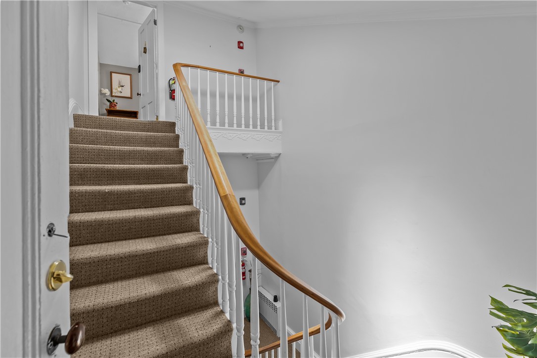 4 Red Cross Avenue 4