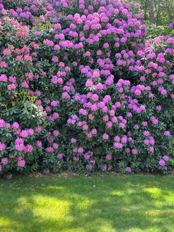 147 Francis Horn Drive