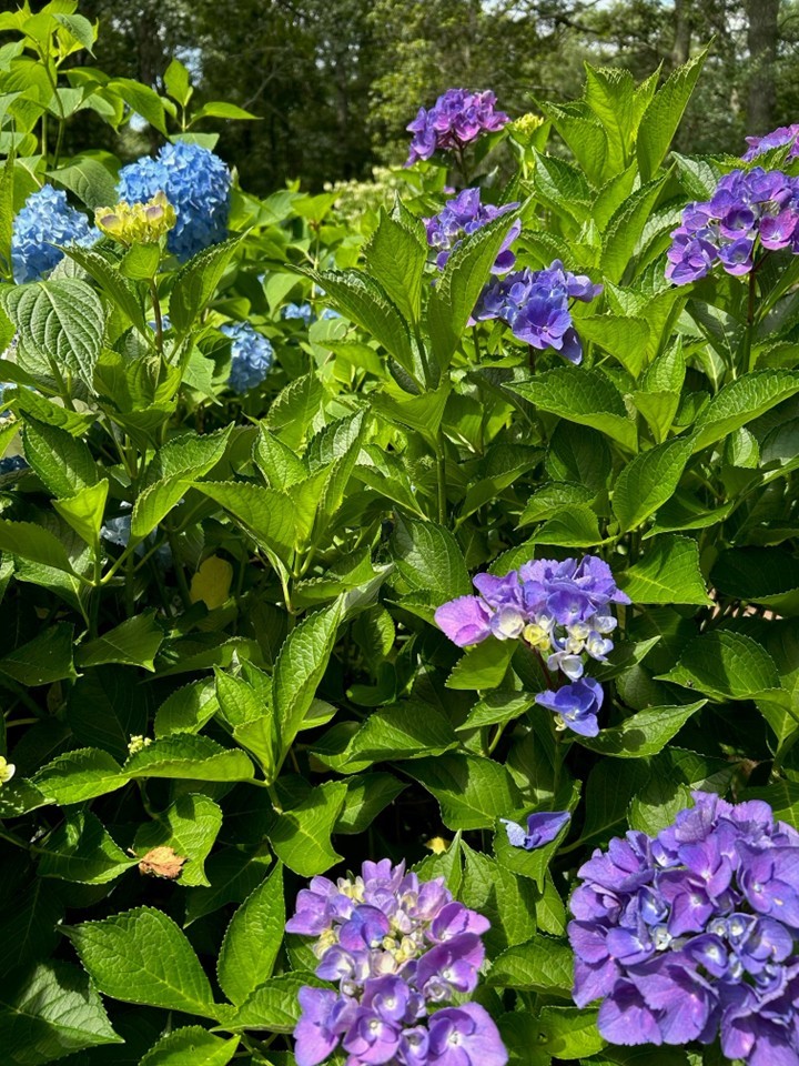 147 Francis Horn Drive