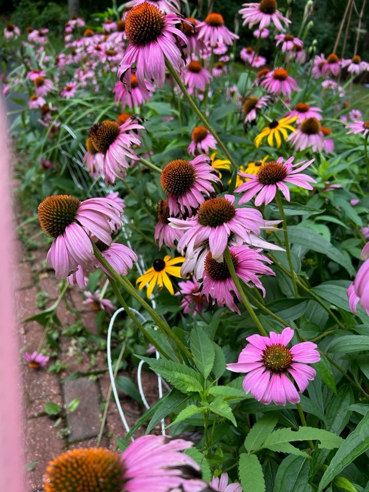 147 Francis Horn Drive