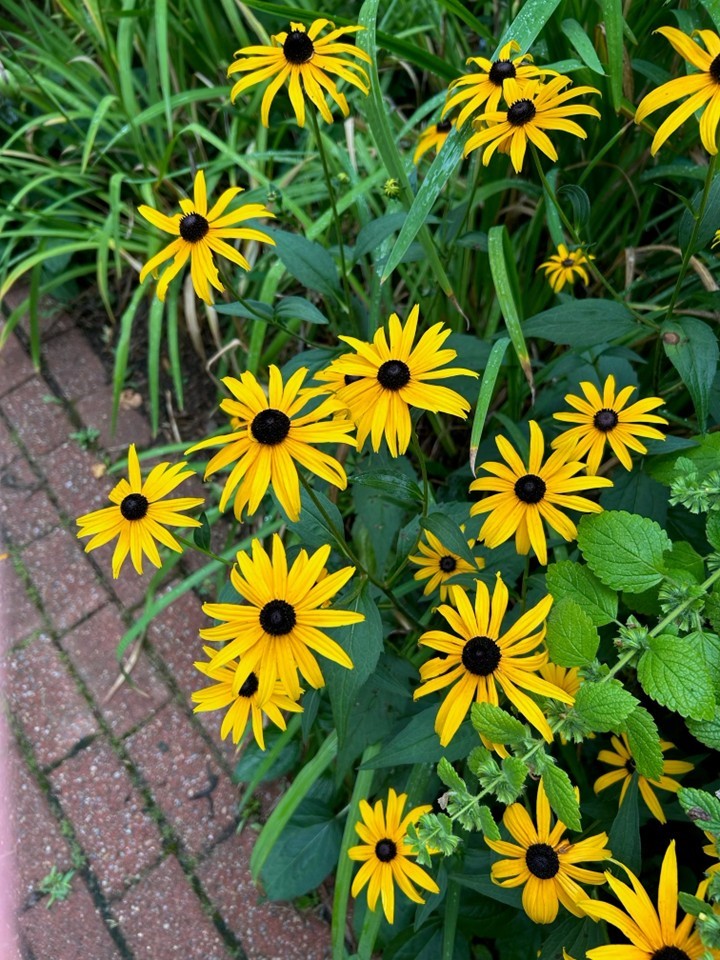 147 Francis Horn Drive