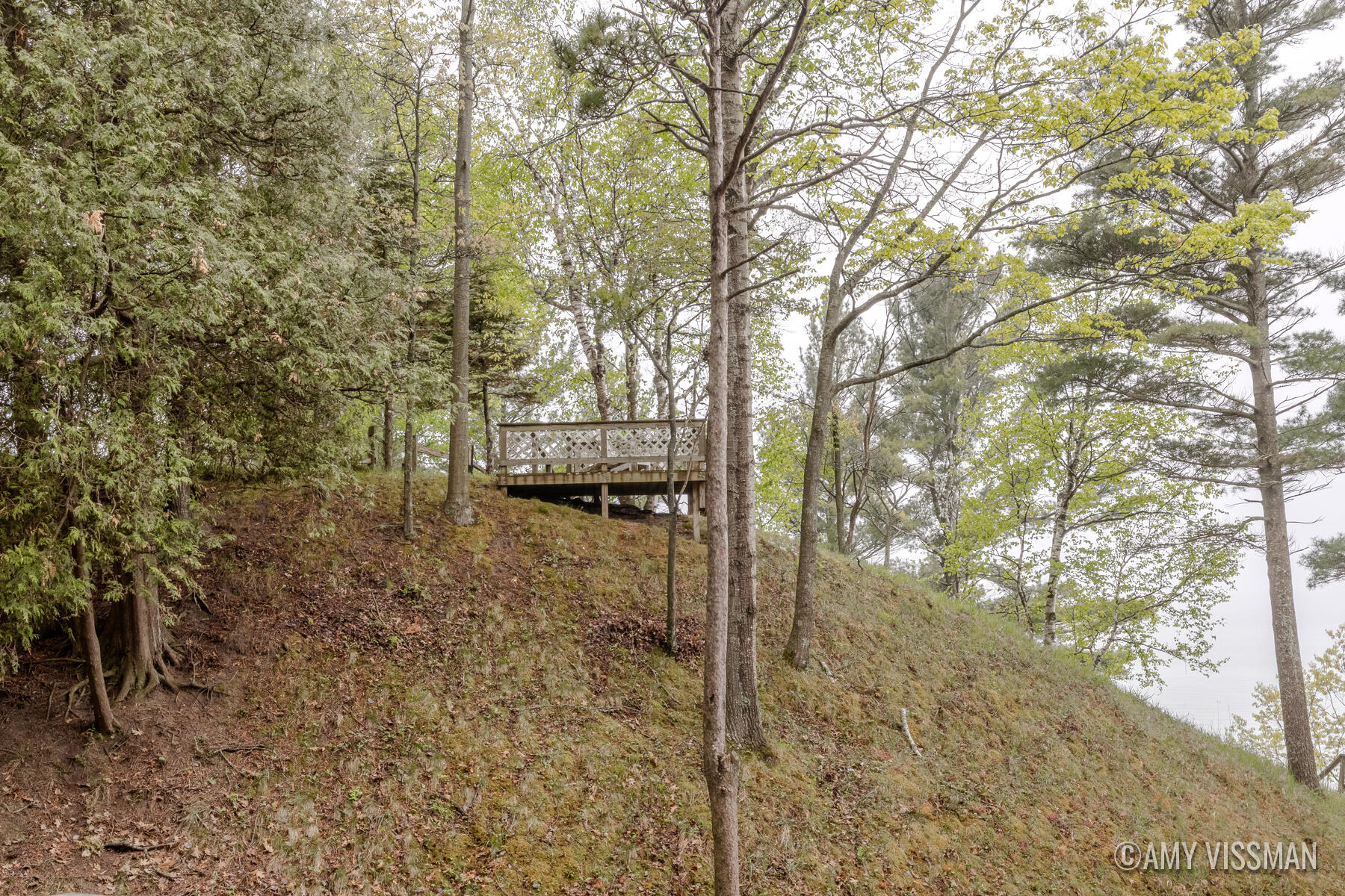 10807 Old Freesoil Road