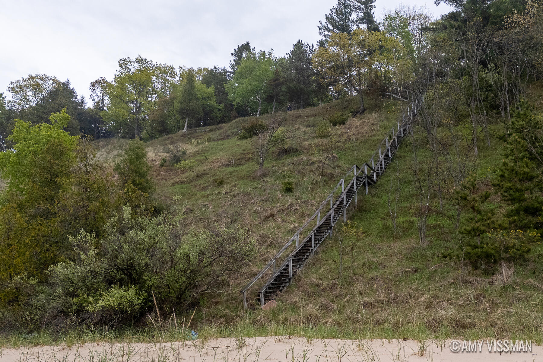 10807 Old Freesoil Road