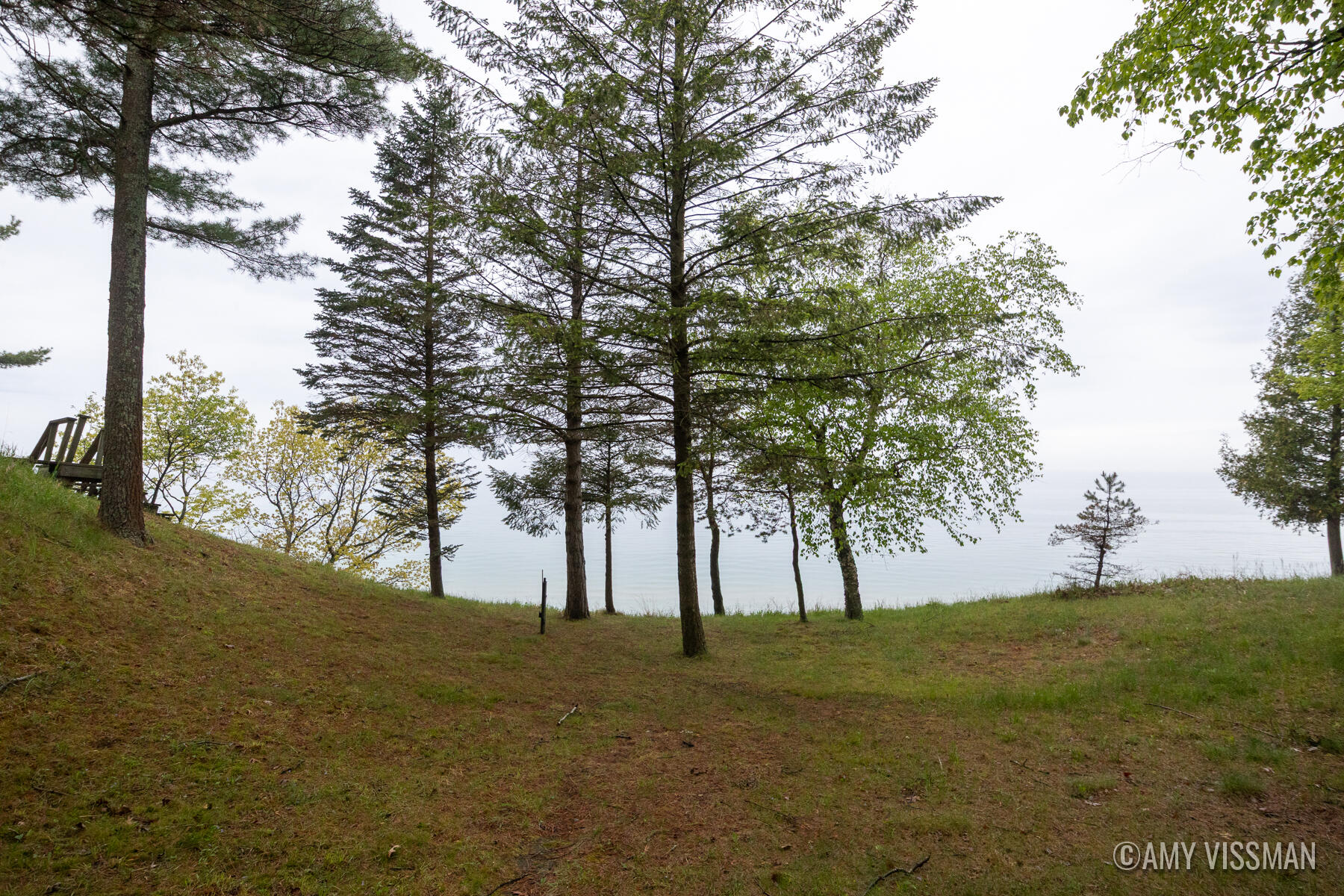 10807 Old Freesoil Road