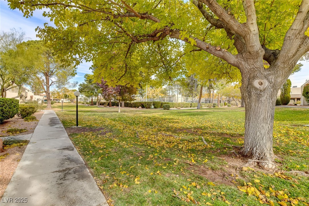 3261 Ennis Court