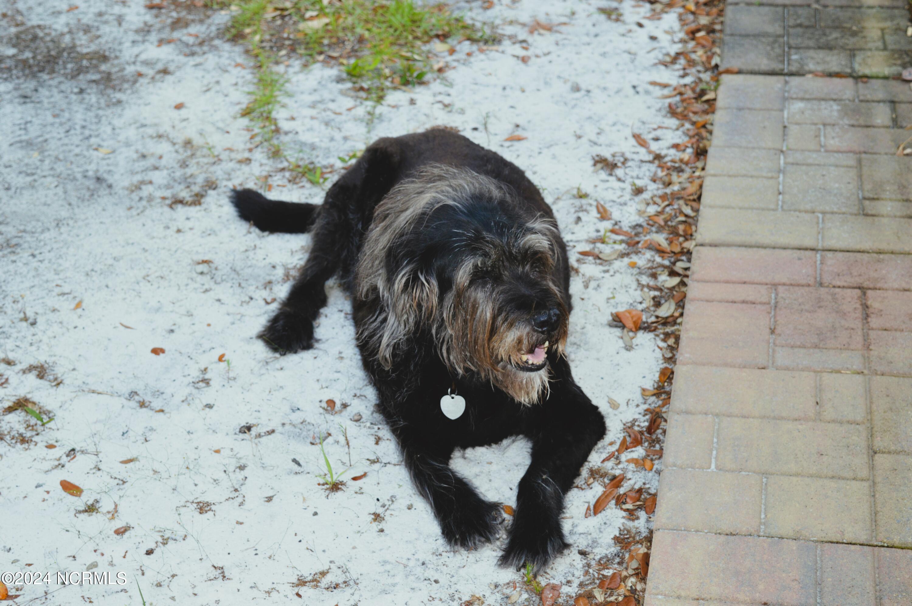 3908 Cross Street SE