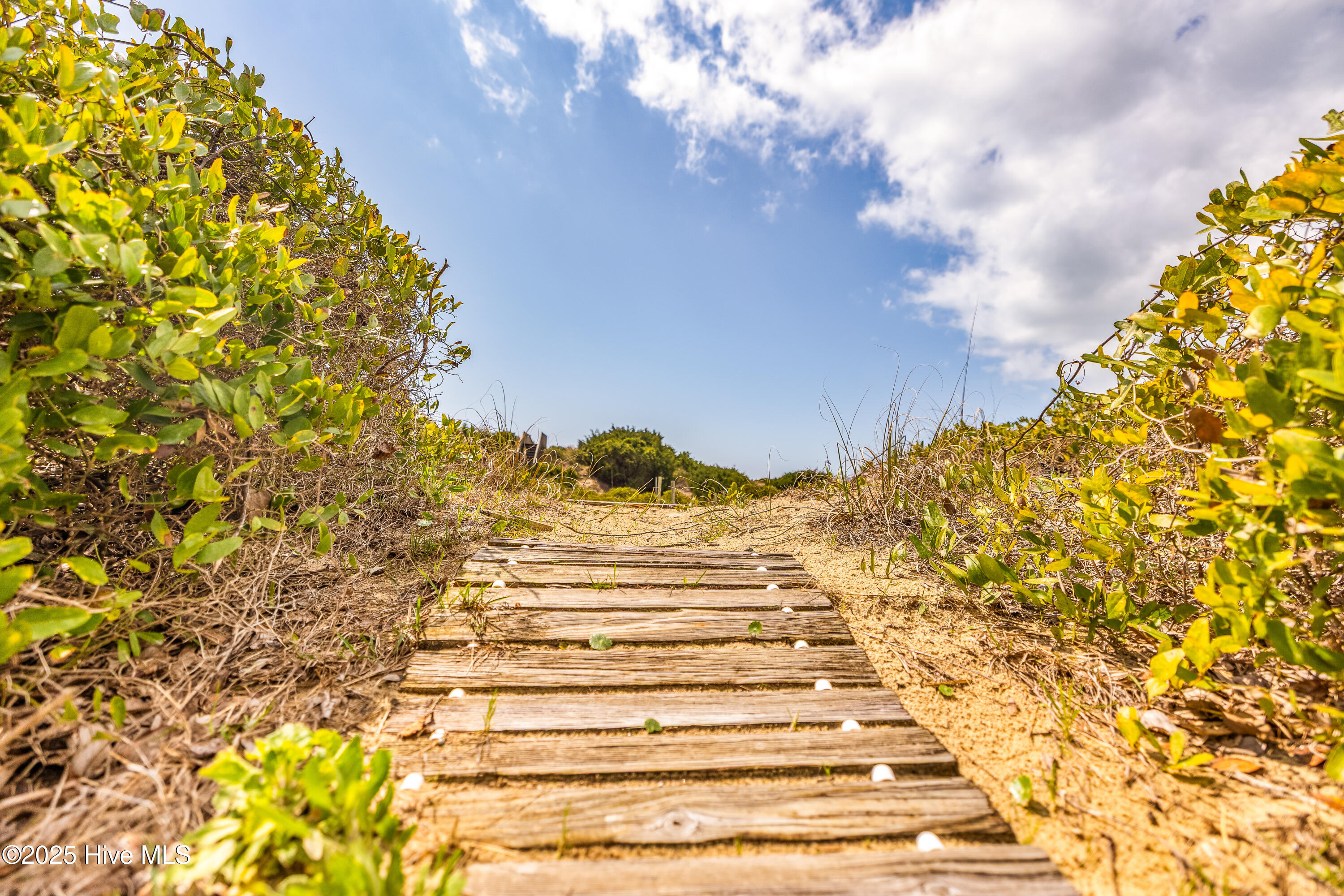 6901 Kings Lynn Drive