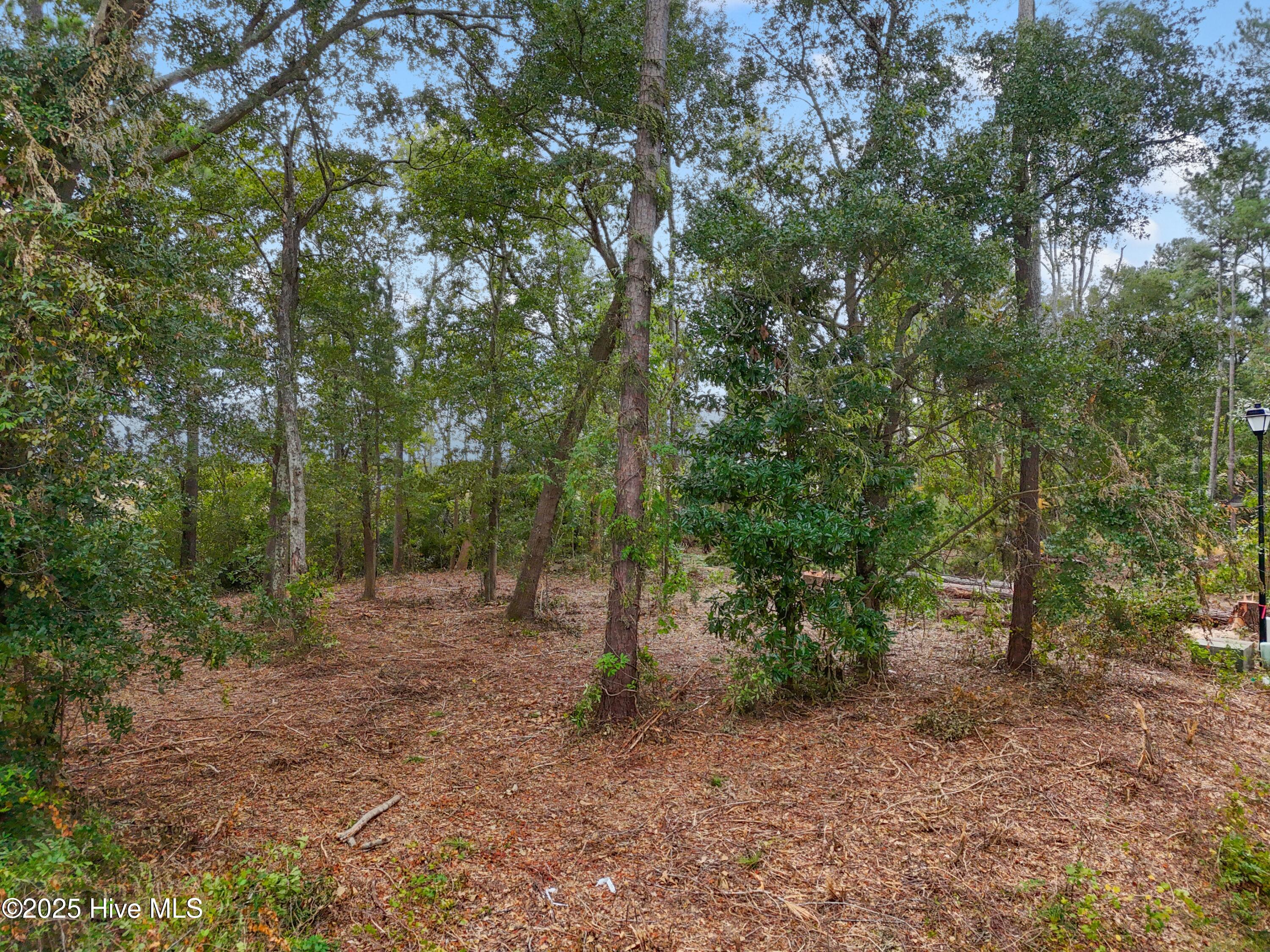 112 Brookhaven Trail