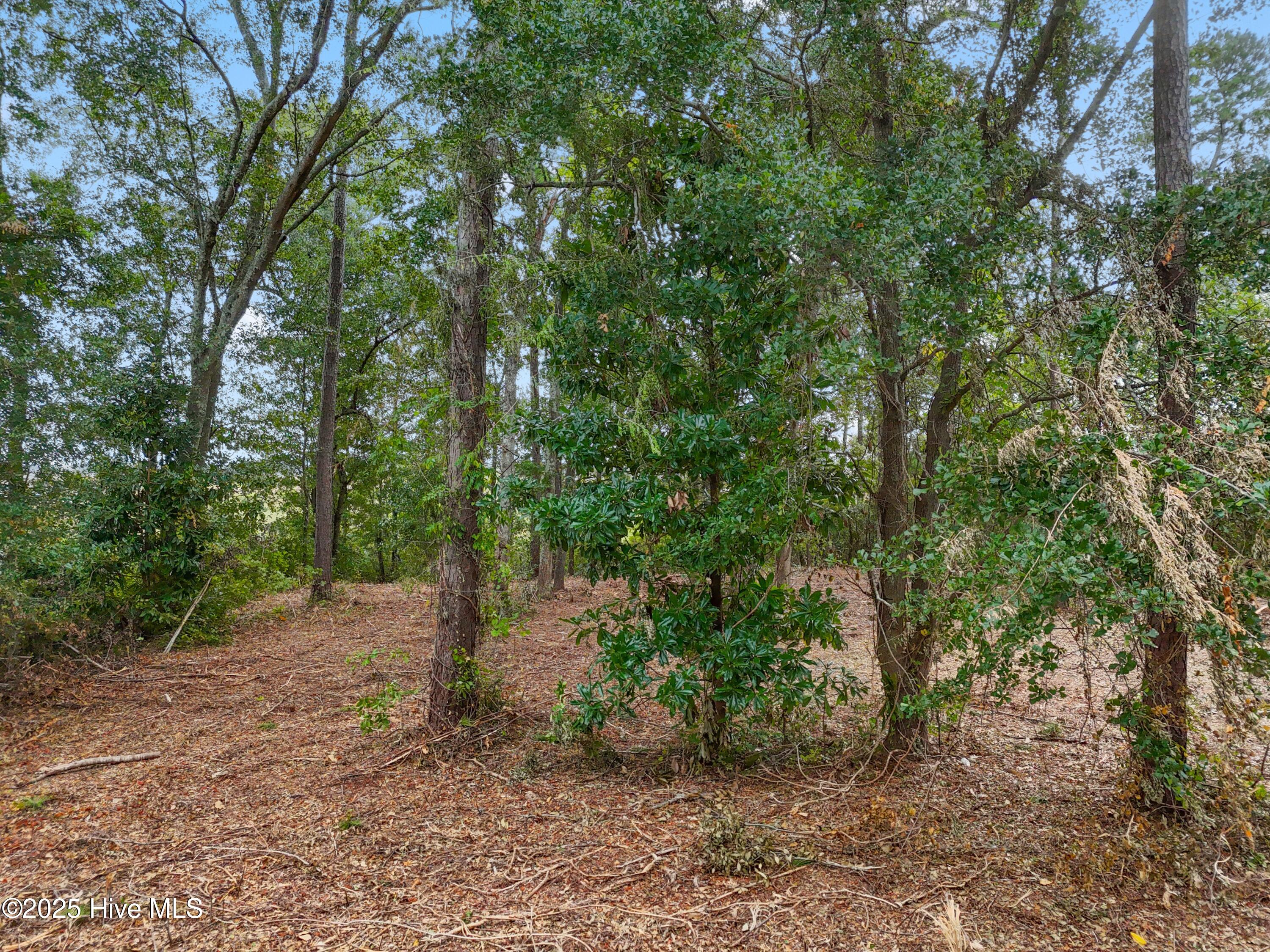 112 Brookhaven Trail