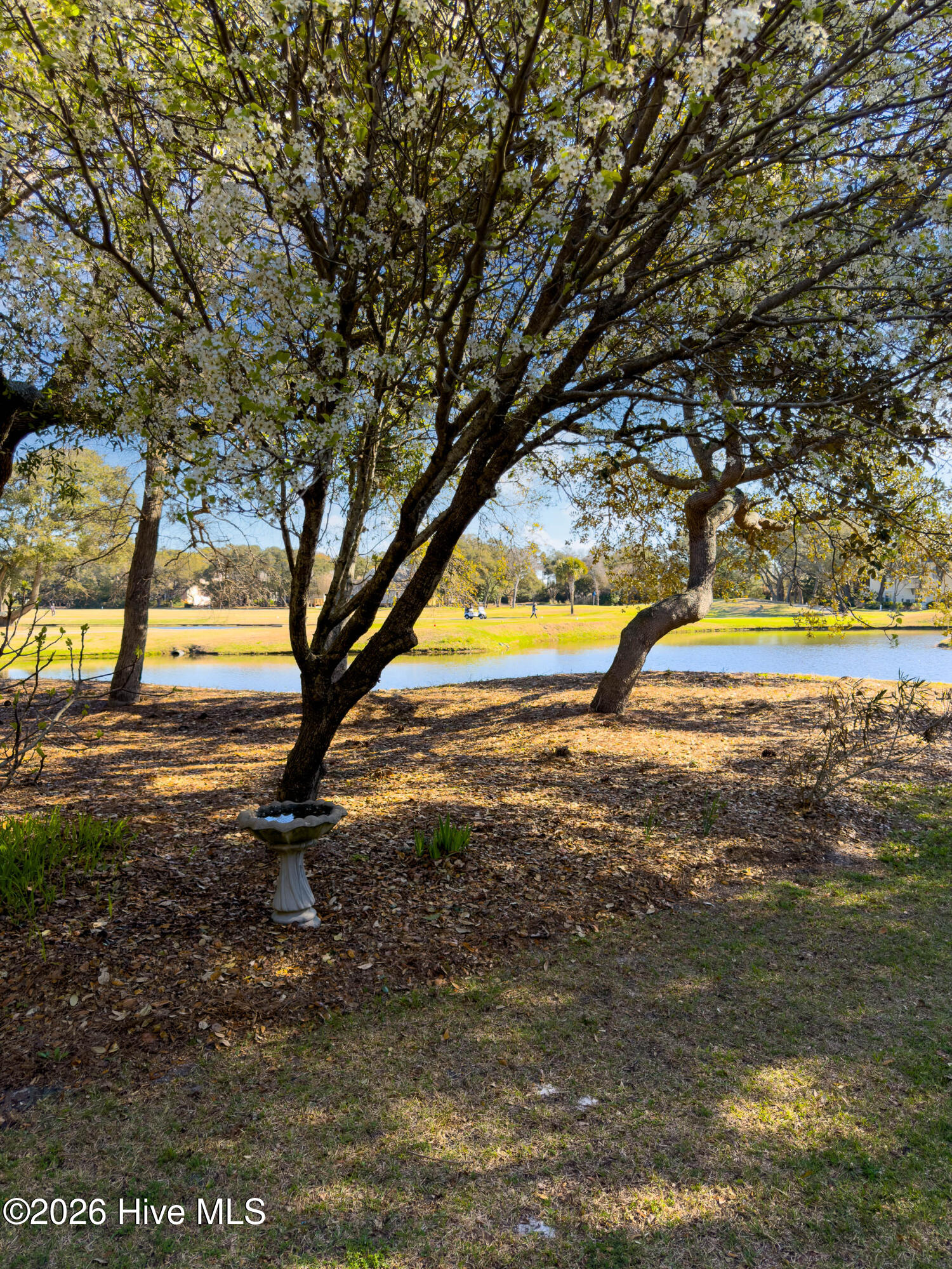 86 Foxfire Trace