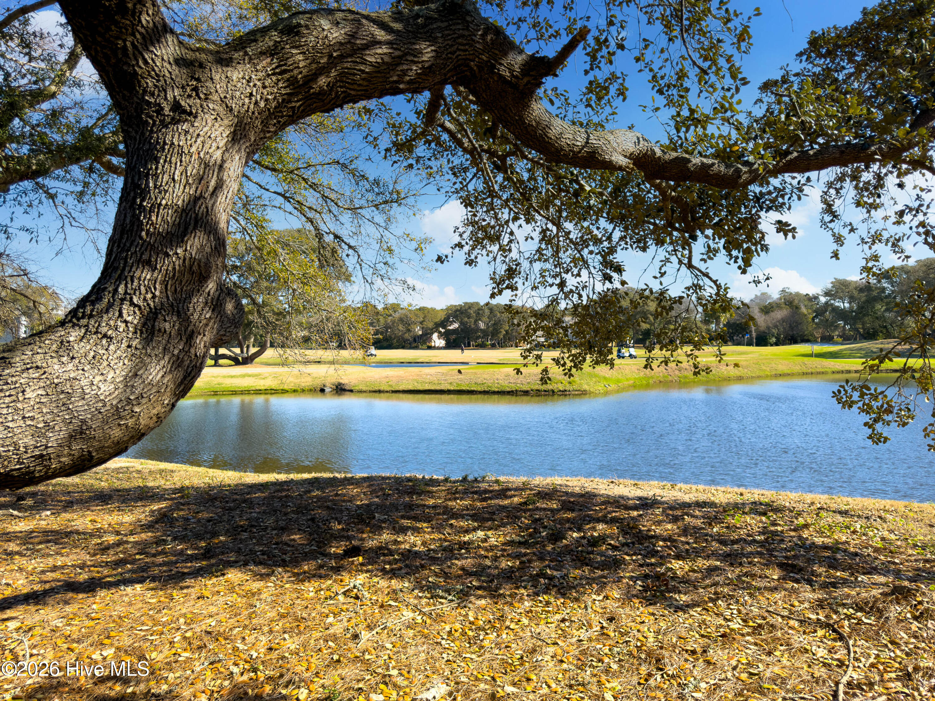 86 Foxfire Trace