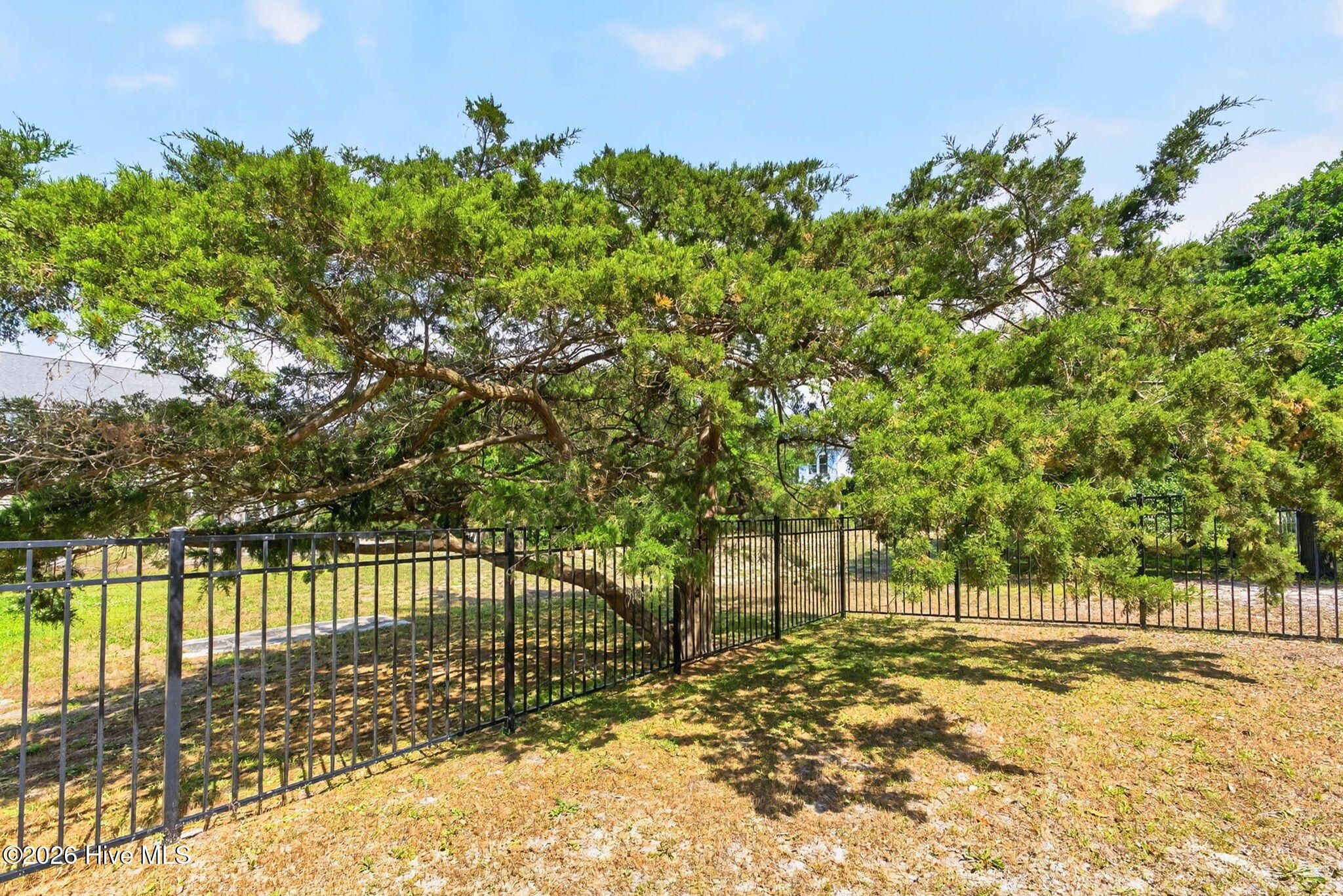 1616 E Dolphin Drive