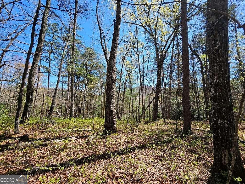 5.22 Deer Crest Road