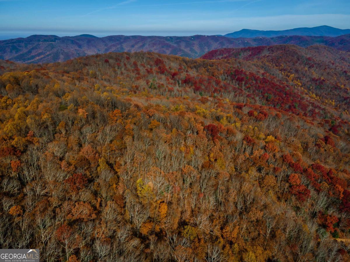 36 Utana Bluffs Trail # 36