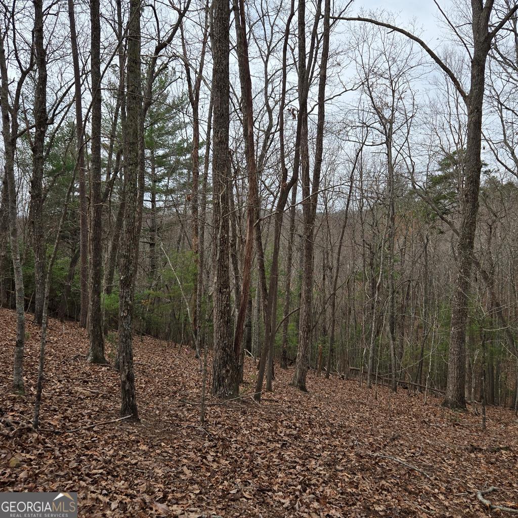 8.5 Blue Berry Ridge