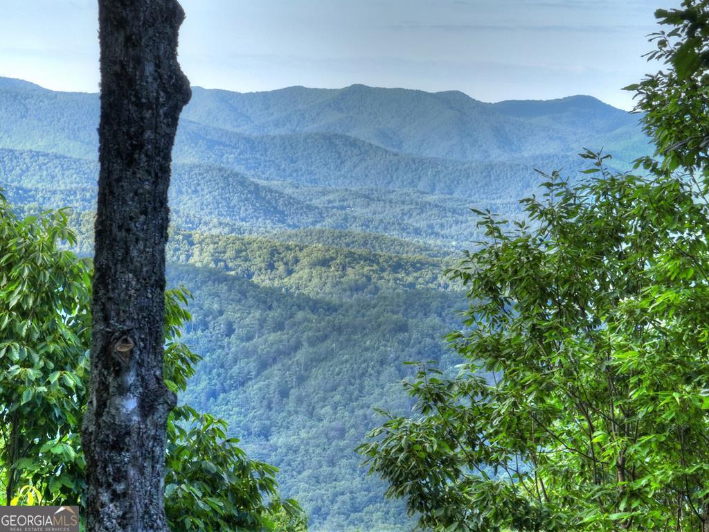 35 Utana Bluff Trails