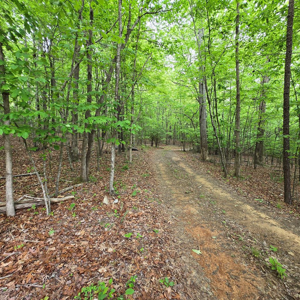 3.5acre Dusty Trail