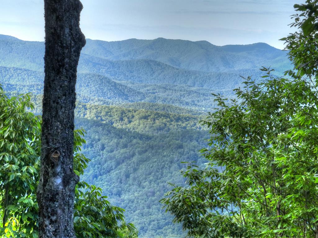 65 Utana Bluff Trails