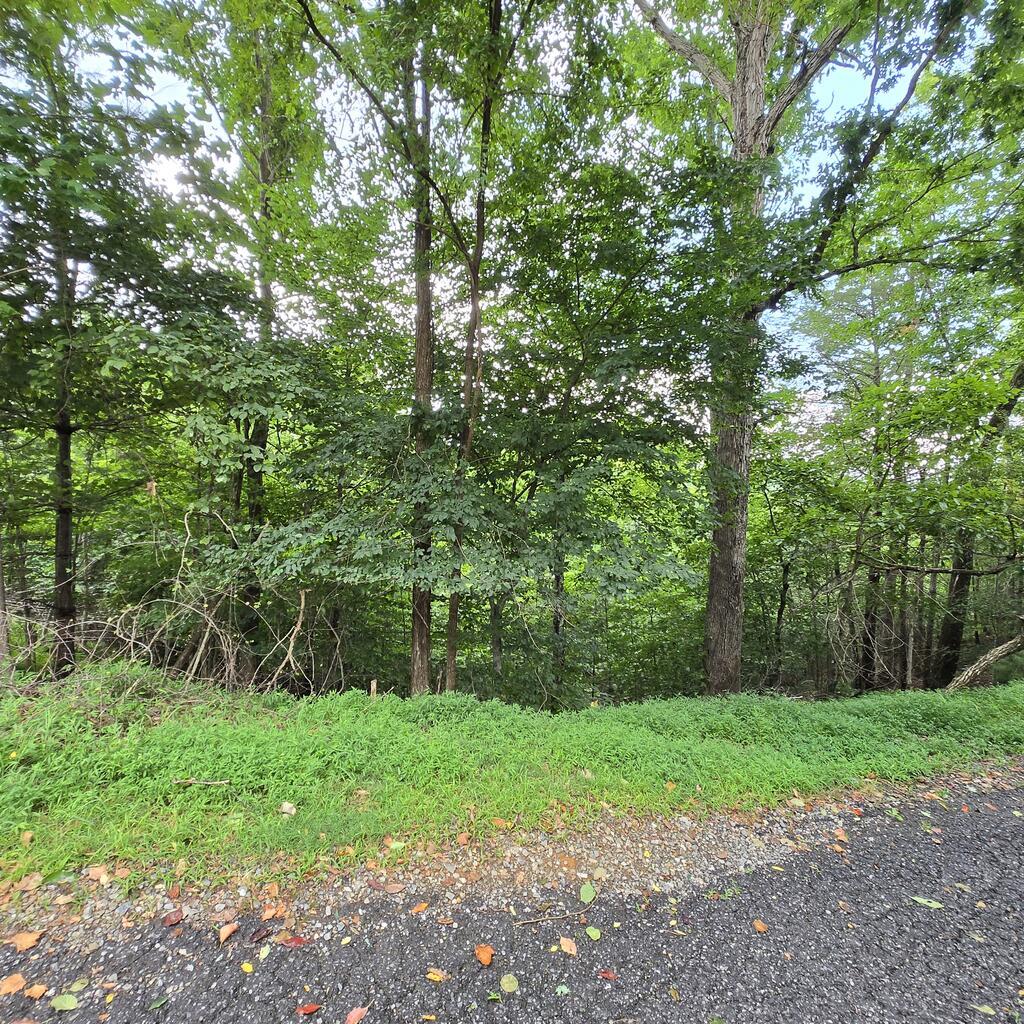 lot 71 Necowa Cove Overlook