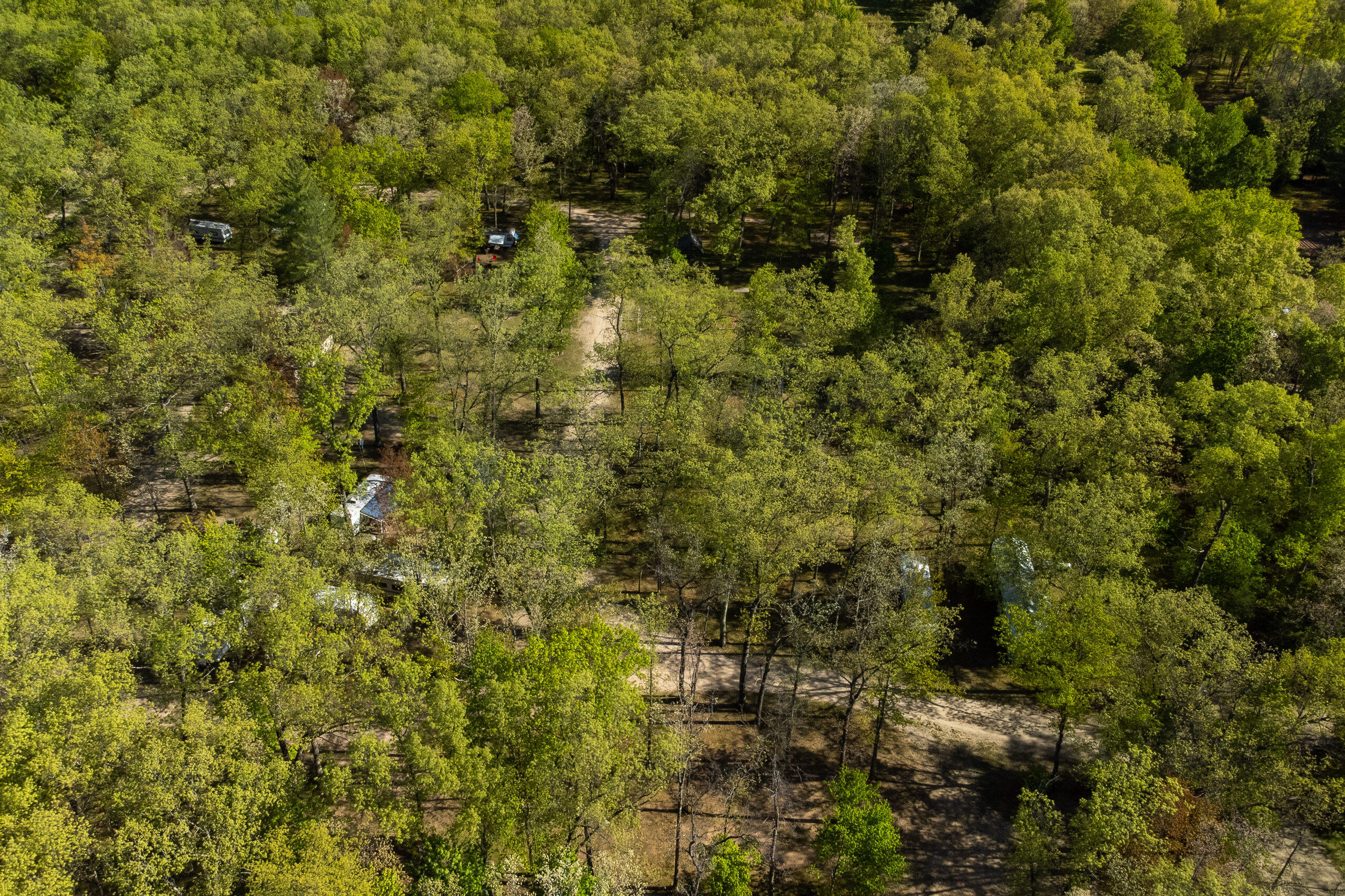 16992 Caberfae Highway