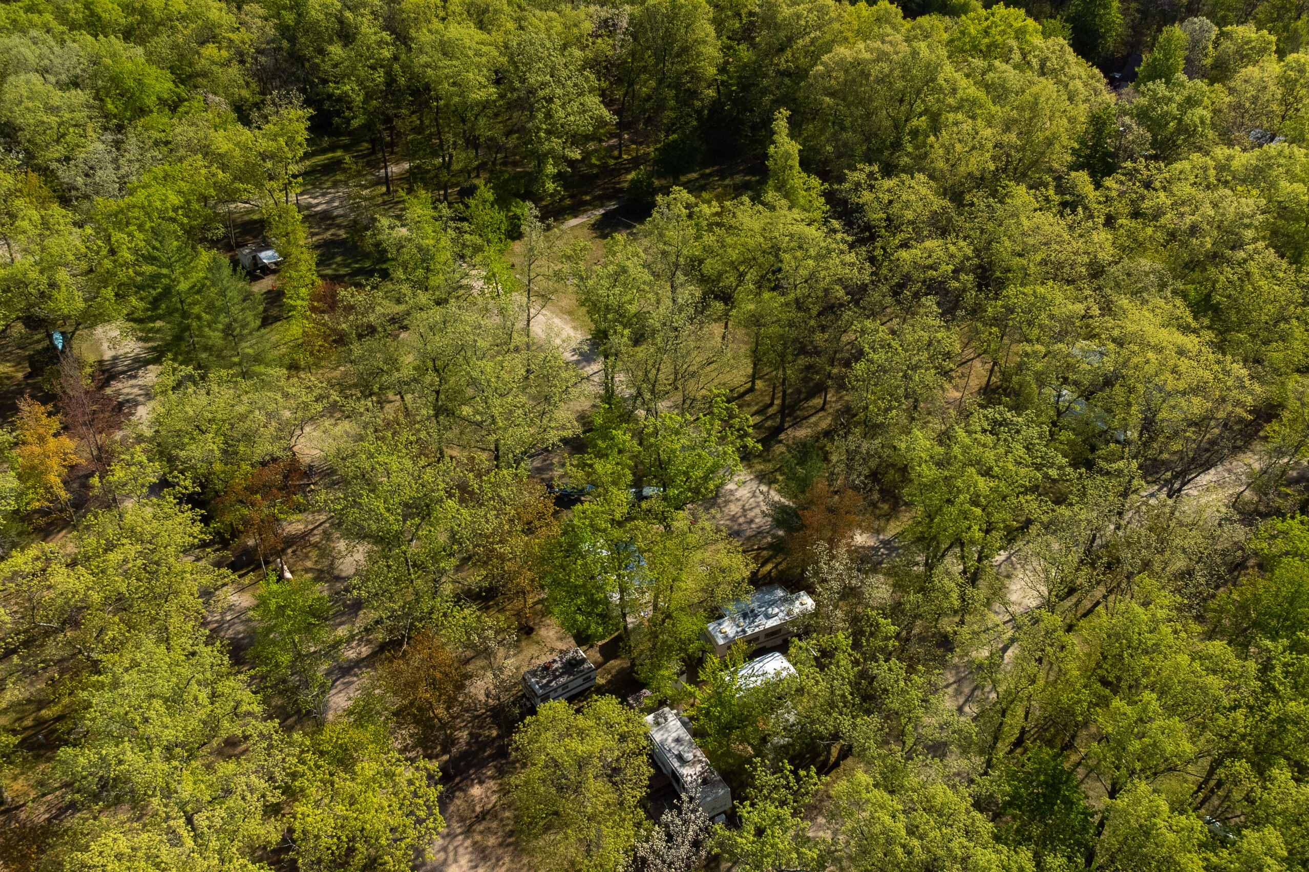 16992 Caberfae Highway