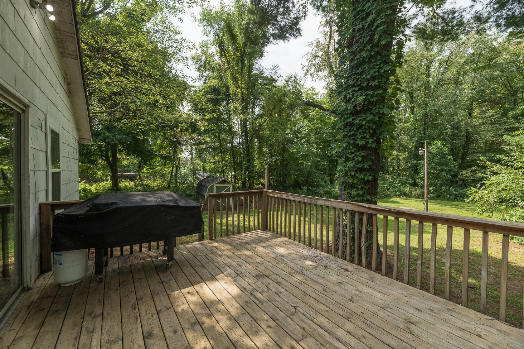 16924 County Road 215