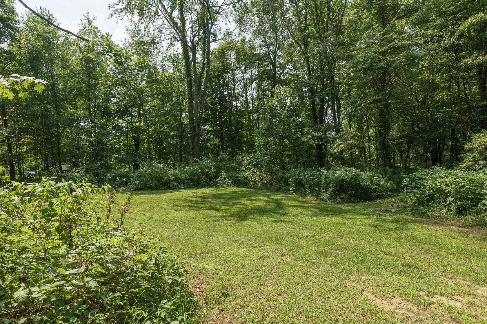 16924 County Road 215