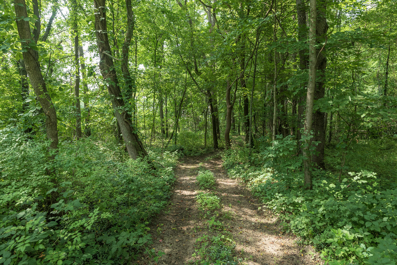 16924 County Road 215