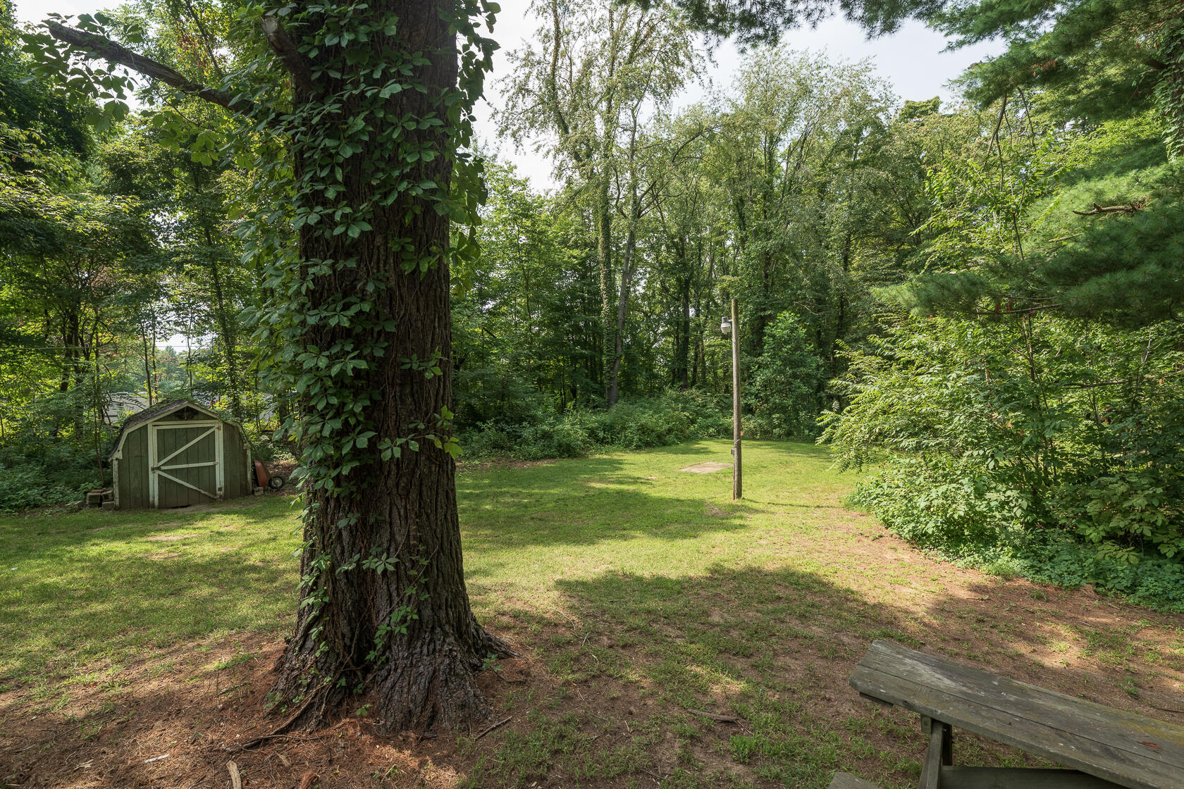 16924 County Road 215