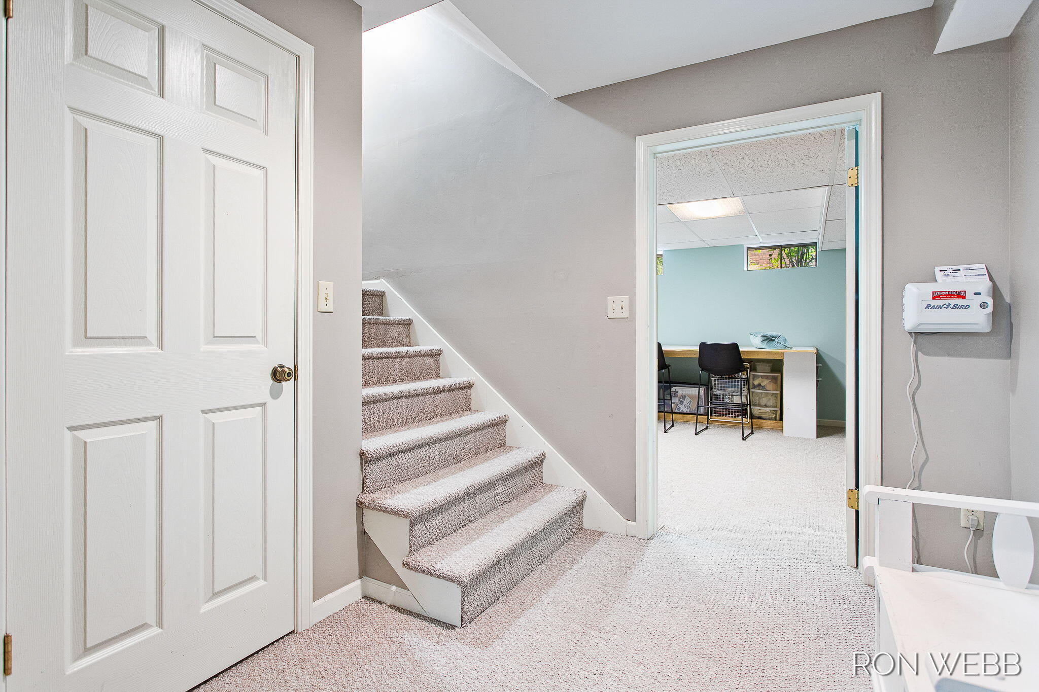 229 Portchester Road