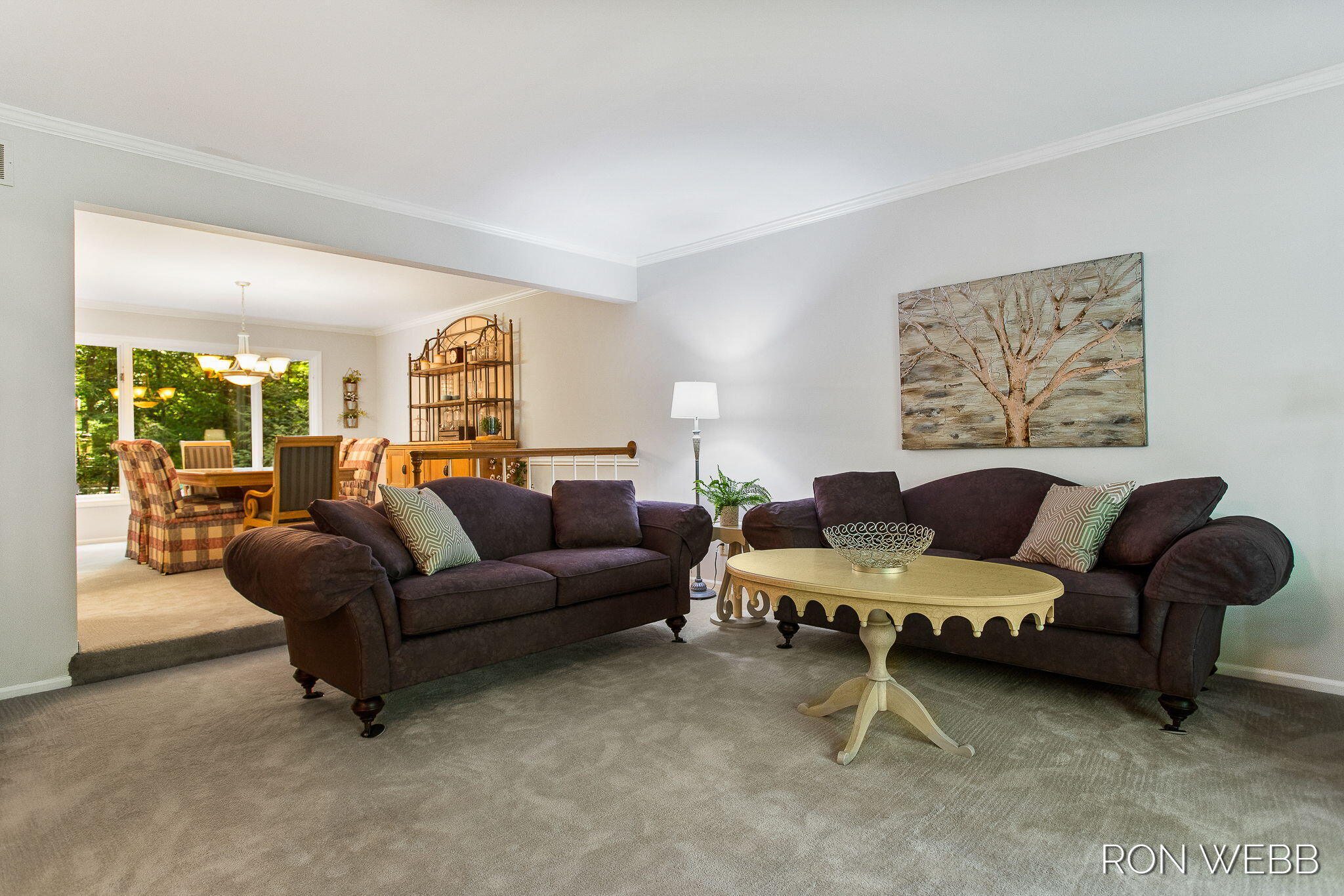 229 Portchester Road