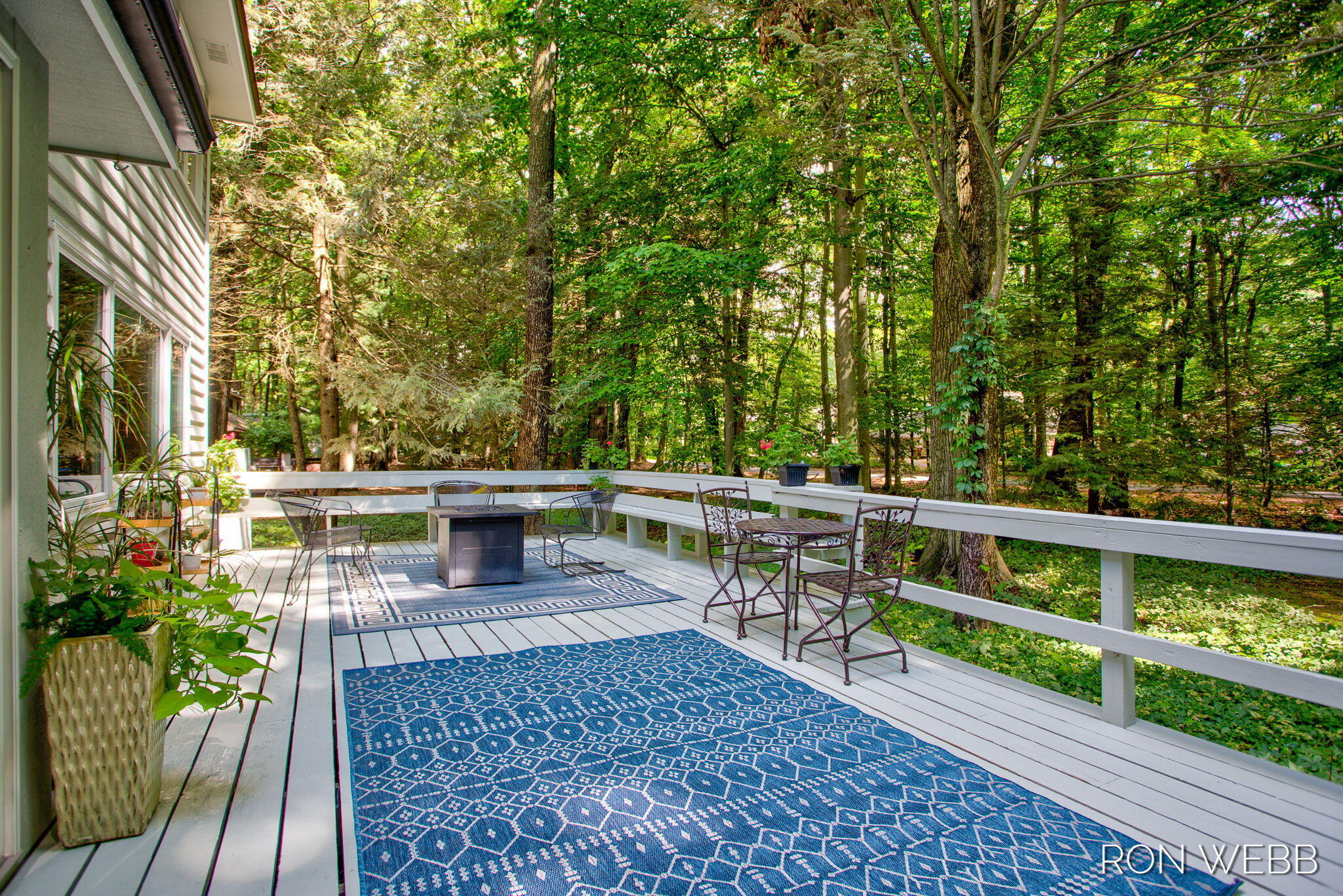 229 Portchester Road