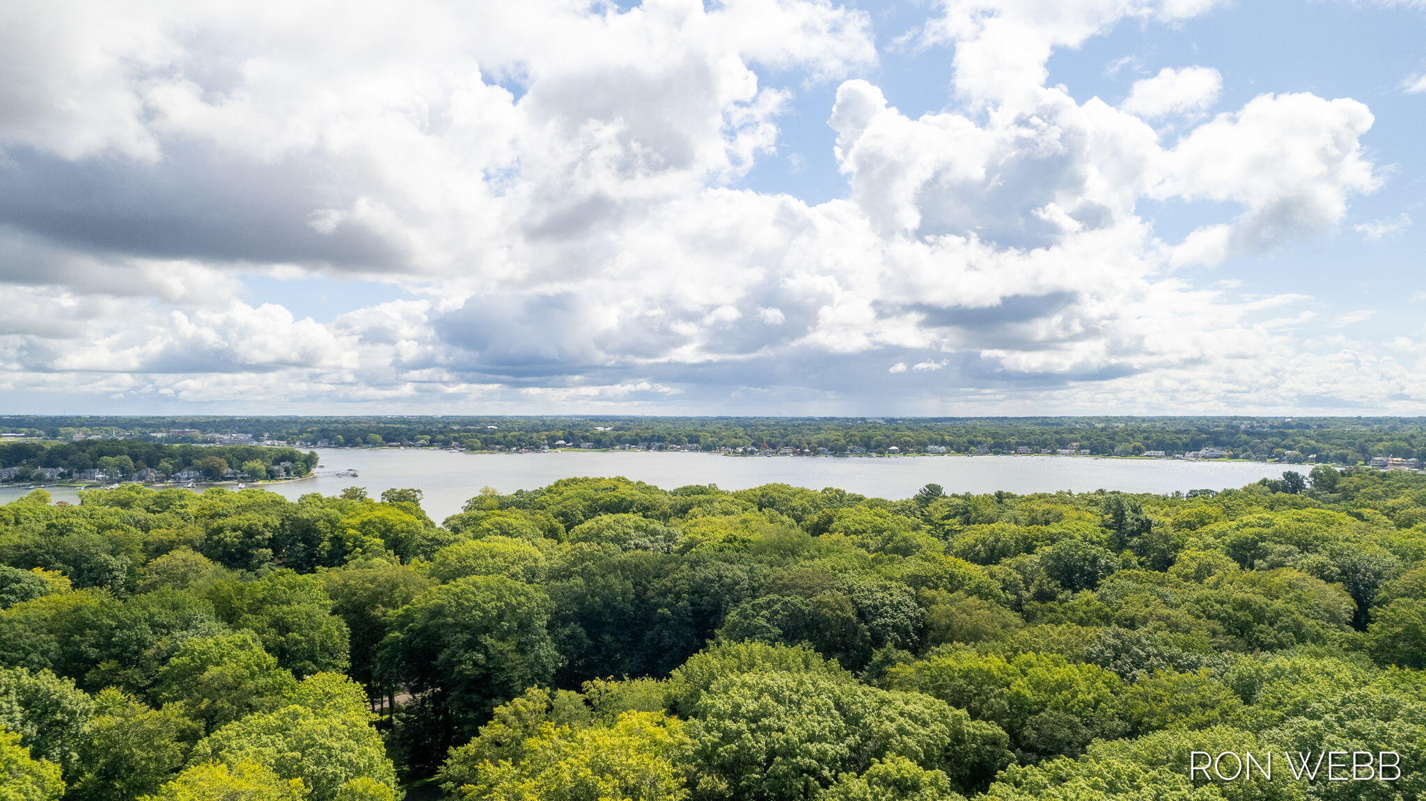 229 Portchester Road