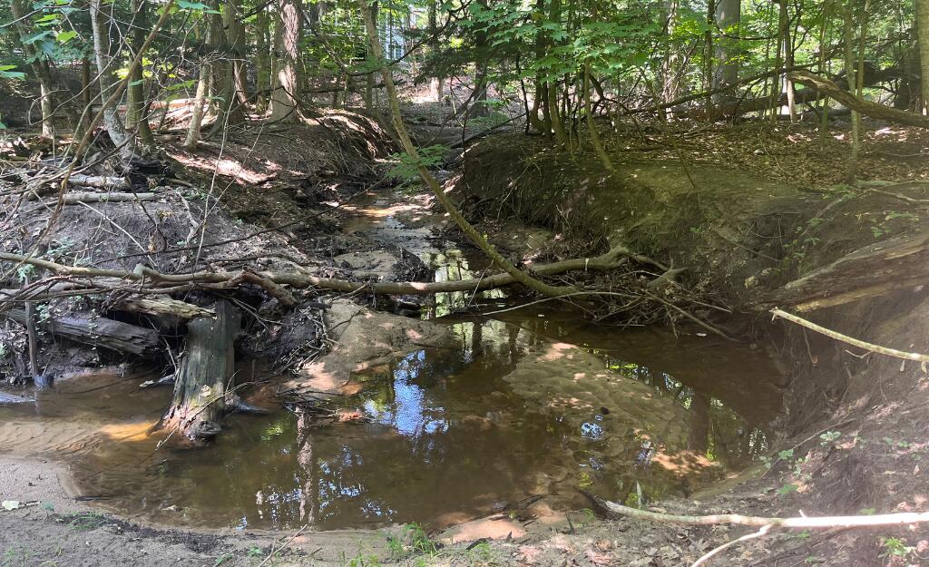 V/L Beech Drive, Lot 42