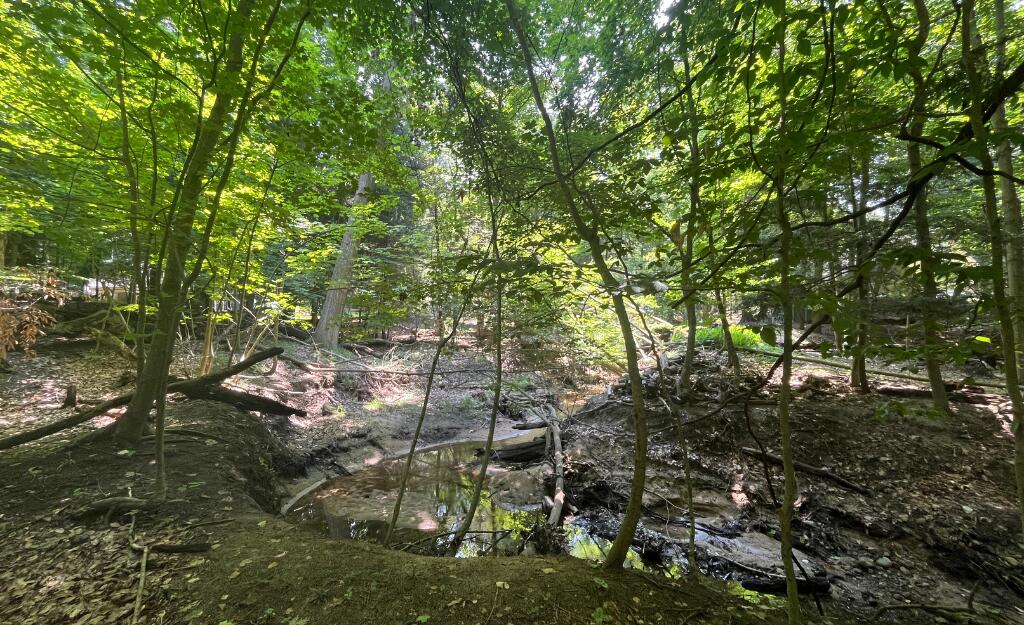 V/L Beech Drive, Lot 42