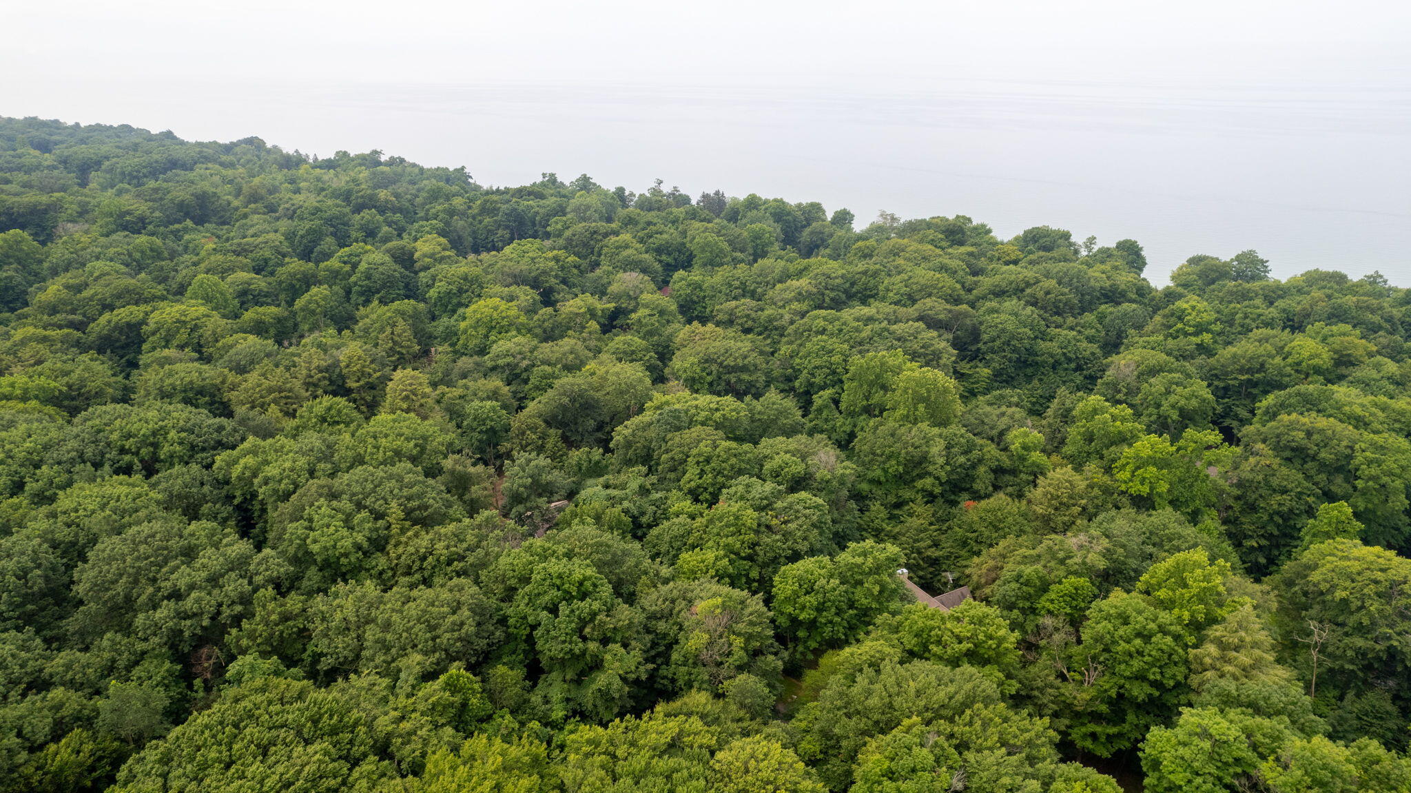 V/L Beech Drive, Lot 42