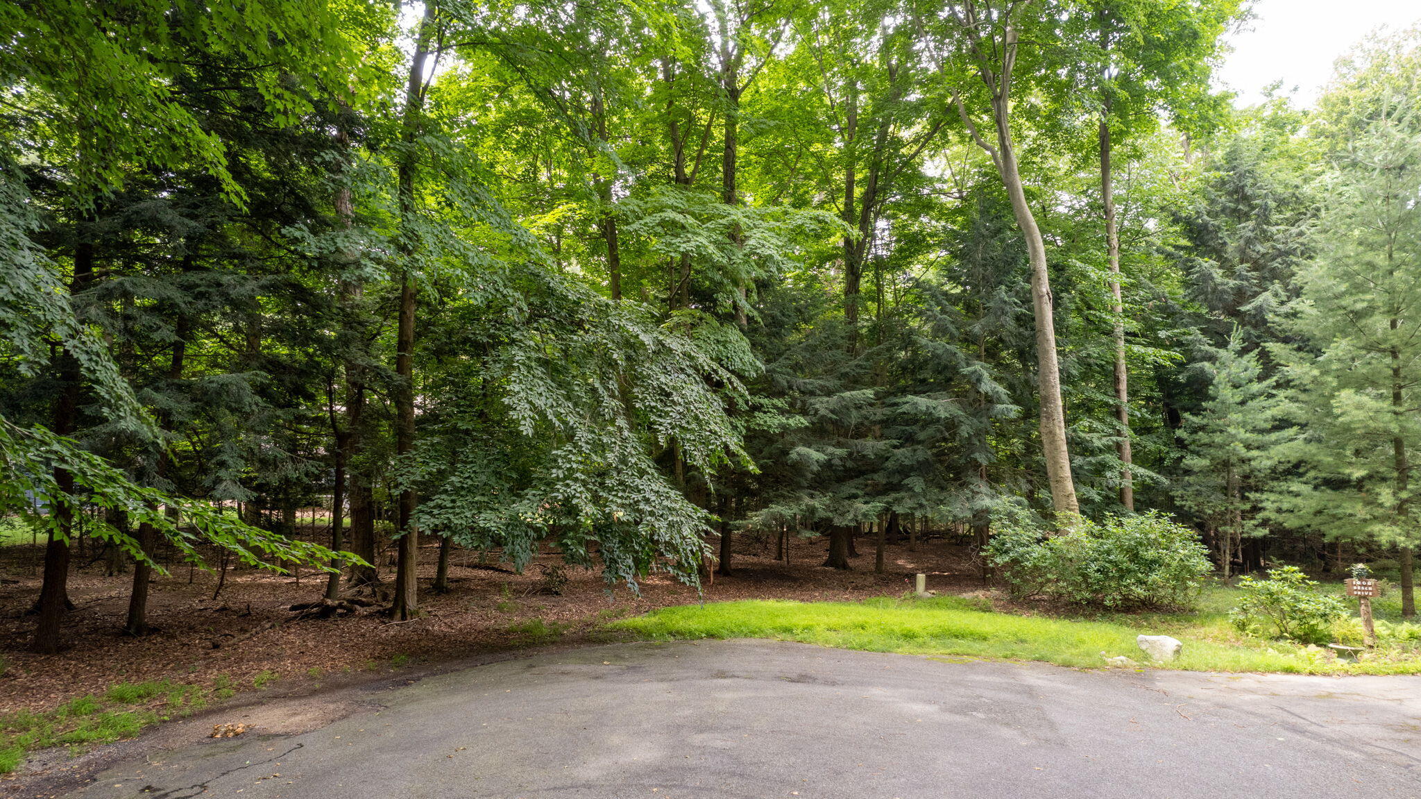 V/L Beech Drive, Lot 42
