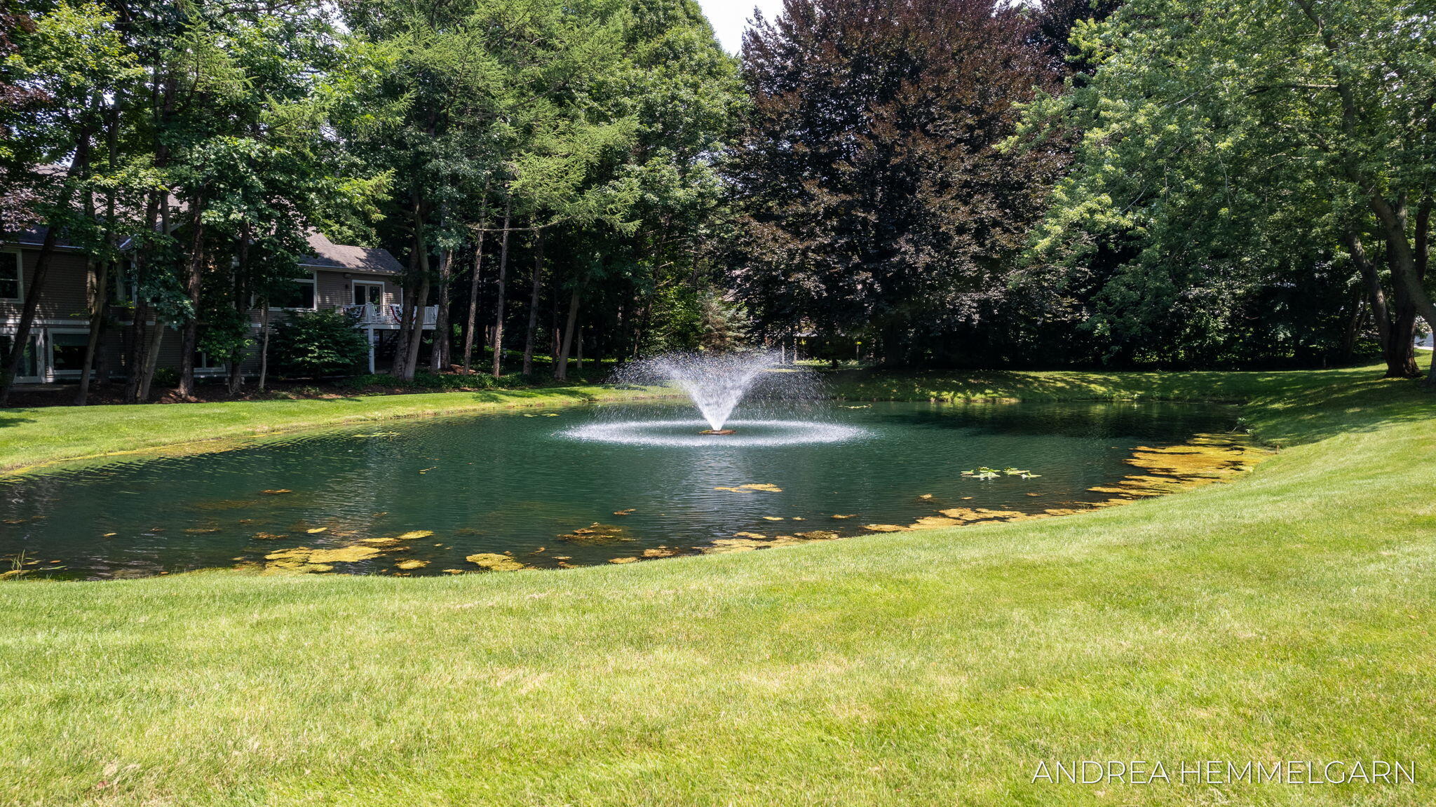 6429 Hidden Hollow Lane